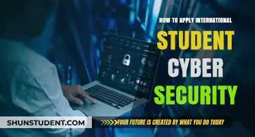 Applying for Cyber Security: An International Student's Guide