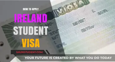 Navigating the Irish Student Visa Application Process: A Step-by-Step Guide