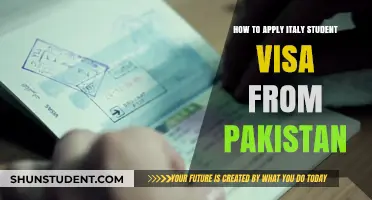 Navigating the Italy Student Visa Process from Pakistan: A Comprehensive Guide
