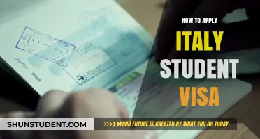 Navigating the Italian Student Visa Application Process: A Step-by-Step Guide