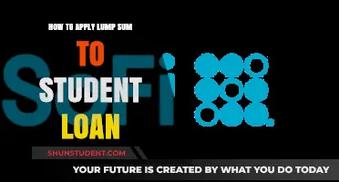 Smart Strategies: Lump Sum Payments for Student Loans
