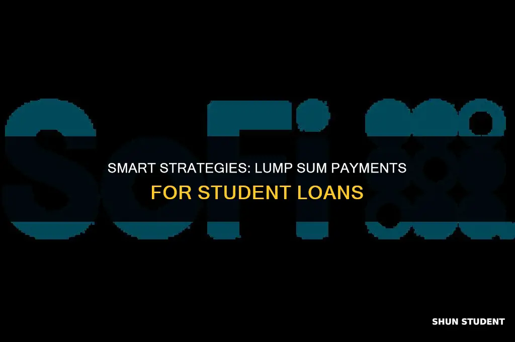 how to apply lump sum to student loan