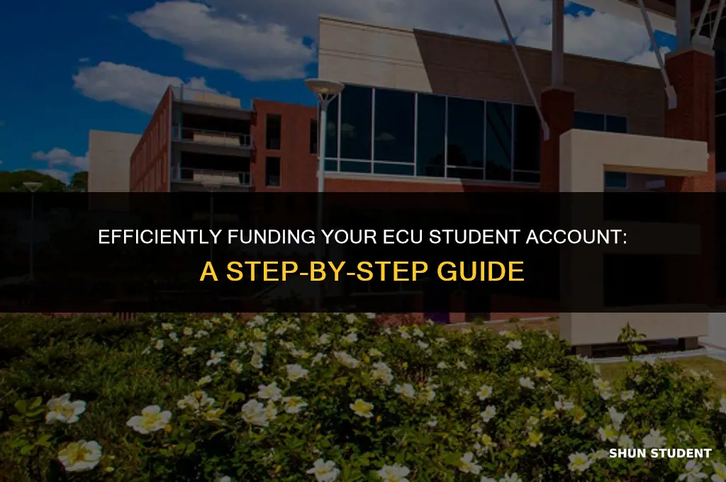 how to apply money to ecu student account