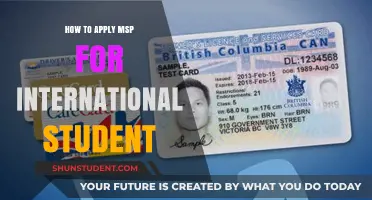 Applying for MSP as an International Student: A Guide