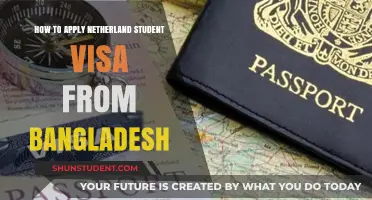 Navigating the Netherlands Student Visa Application from Bangladesh