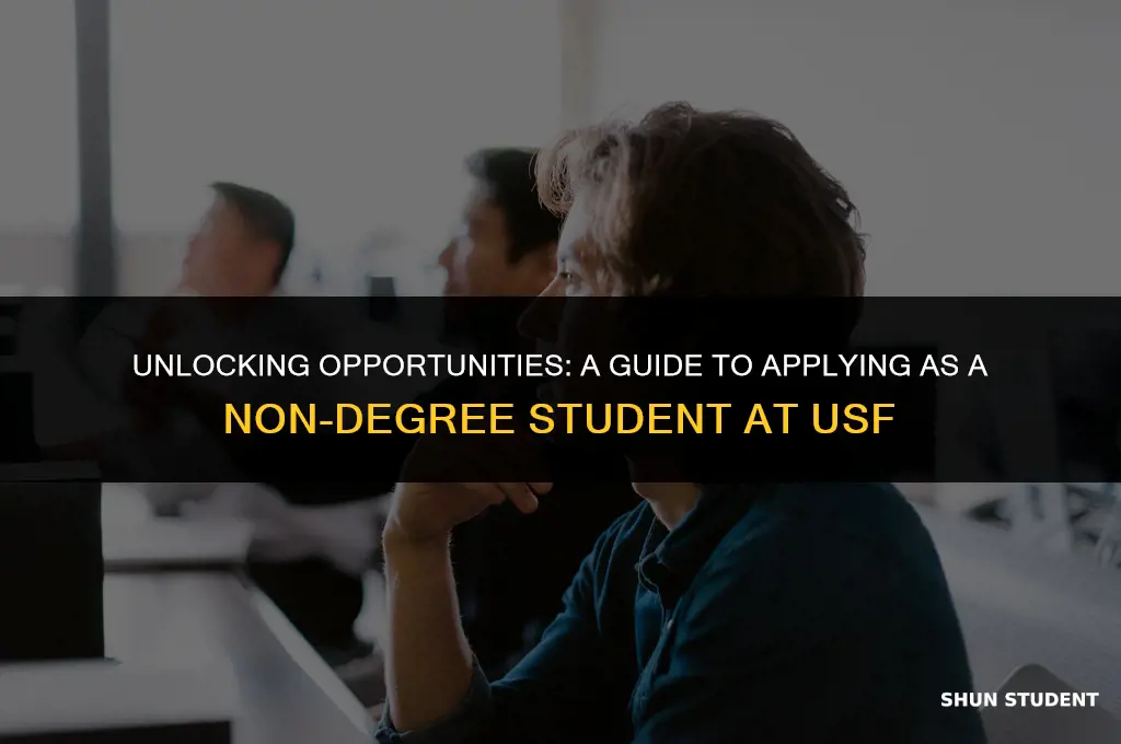 how to apply nondegree student usf