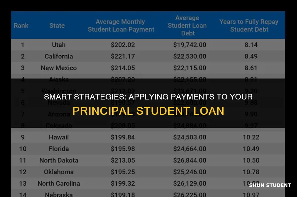 how to apply payment to principal student loan