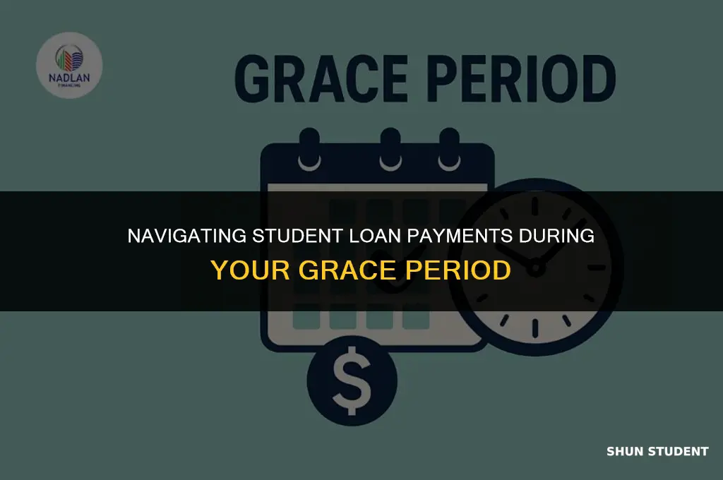 how to apply payments to student loans during grace