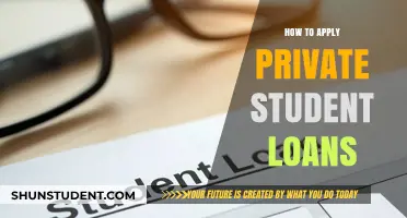Securing Your Education: A Guide to Applying for Private Student Loans