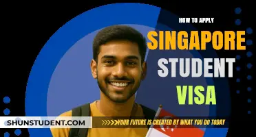 Navigating the Application Process for a Singapore Student Visa