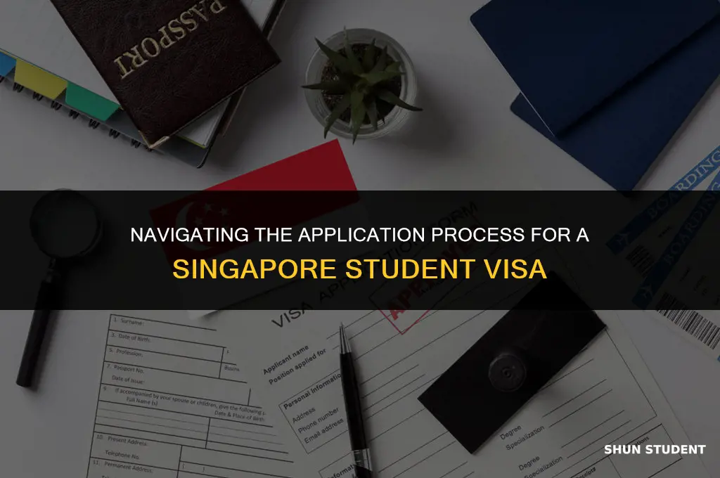 how to apply singapore student visa