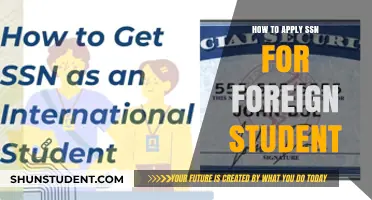 Securing Your Future: A Foreign Student's Guide to Obtaining an SSN