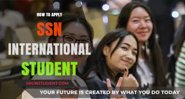 Applying for an SSN: A Guide for International Students
