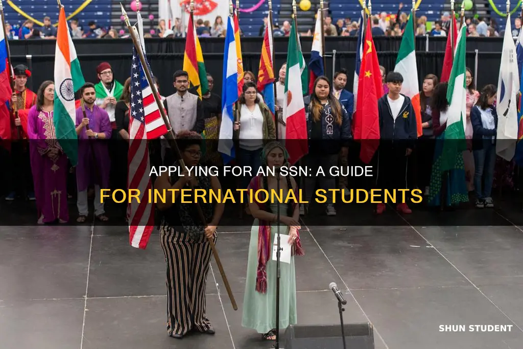 how to apply ssn international student