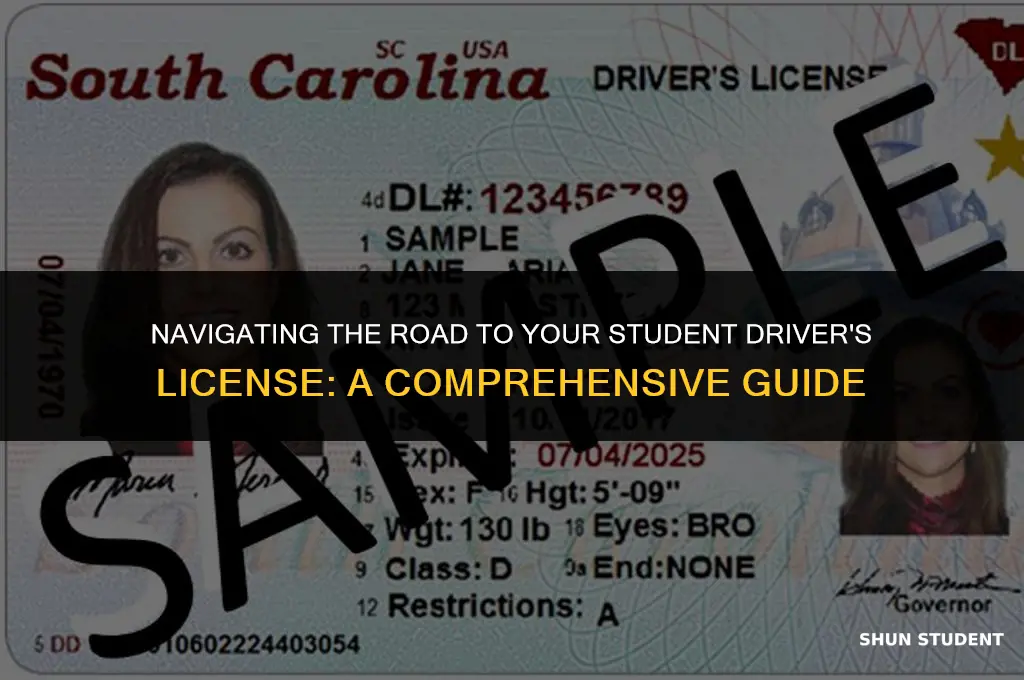 how to apply student driver