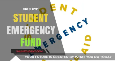 Navigating Financial Emergencies: A Guide to Student Emergency Funds