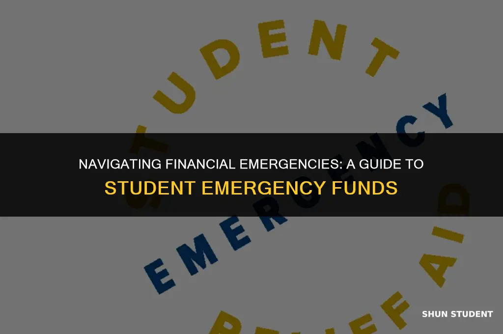 how to apply student emergency fund