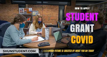 Navigating COVID-19 Student Grants: A Comprehensive Application Guide