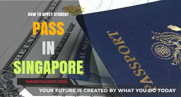 Unlocking Education: A Step-by-Step Guide to Applying for a Student Pass in Singapore