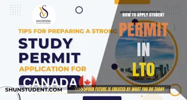 Navigating the LTO: A Step-by-Step Guide to Applying for Your Student Permit