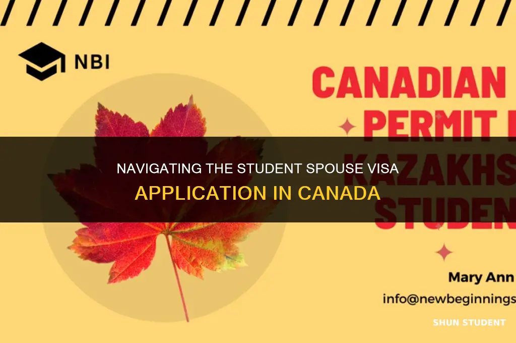 how to apply student spouse visa in canada