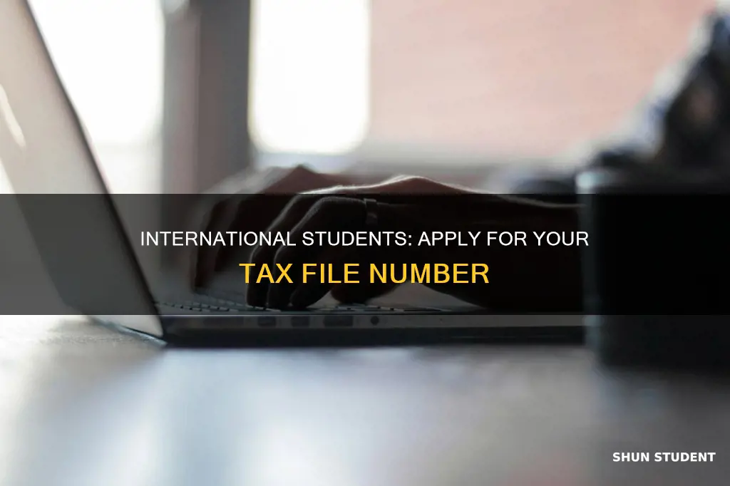 how to apply tax file number for international student
