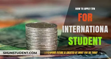 International Students: Get Your TFN Application Right