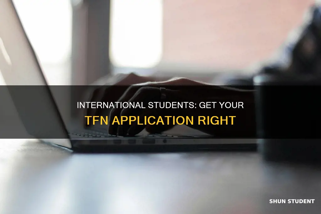 how to apply tfn for international student