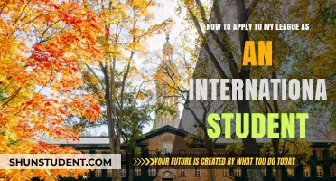 Strategies for International Students to Enter the Ivy League