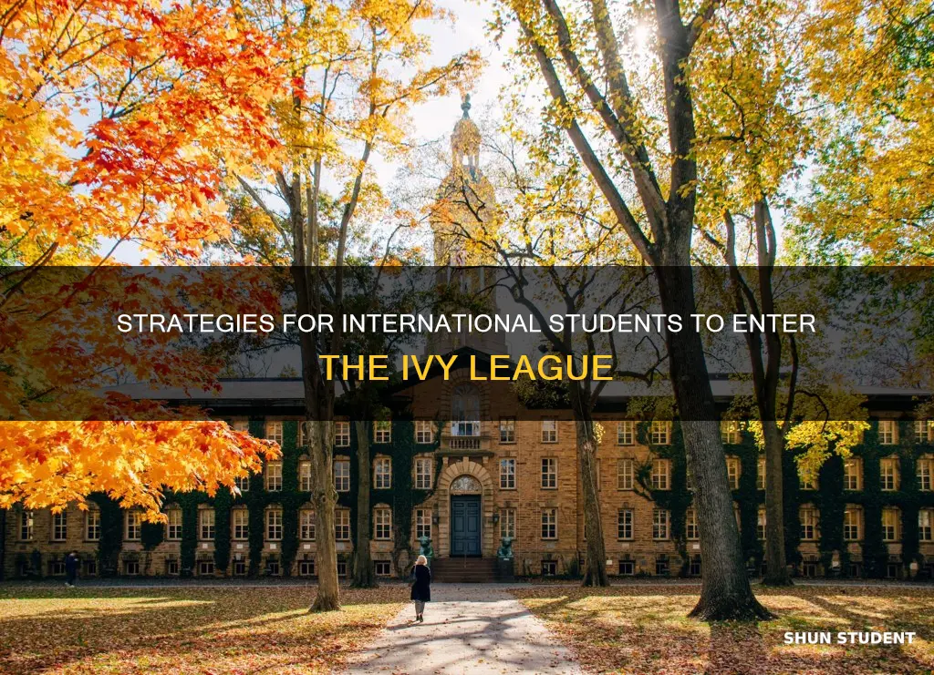 how to apply to ivy league as an international student