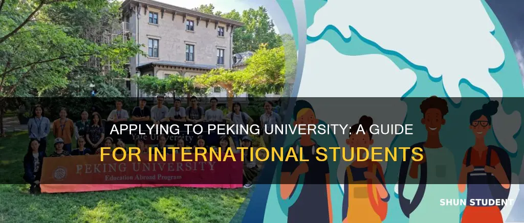 how to apply to peking university as an international student