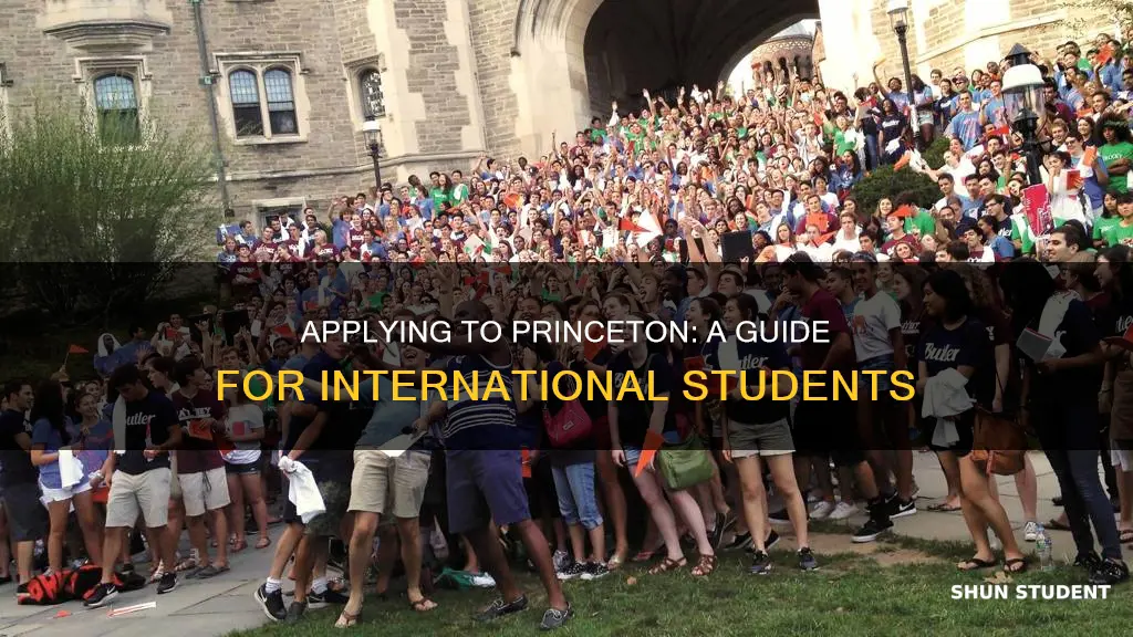how to apply to princeton as an international student
