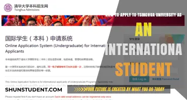 Applying to Tsinghua University: A Guide for International Students