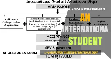 York University: Application Guide for International Students