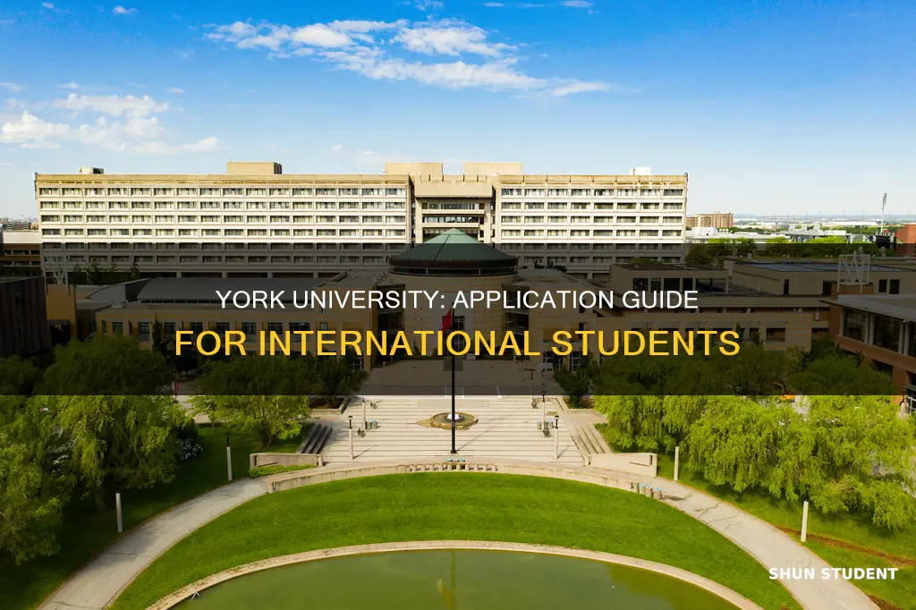 how to apply to york university as an international student