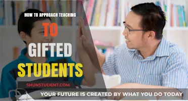 Nurturing Brilliance: Effective Strategies for Teaching Gifted Students