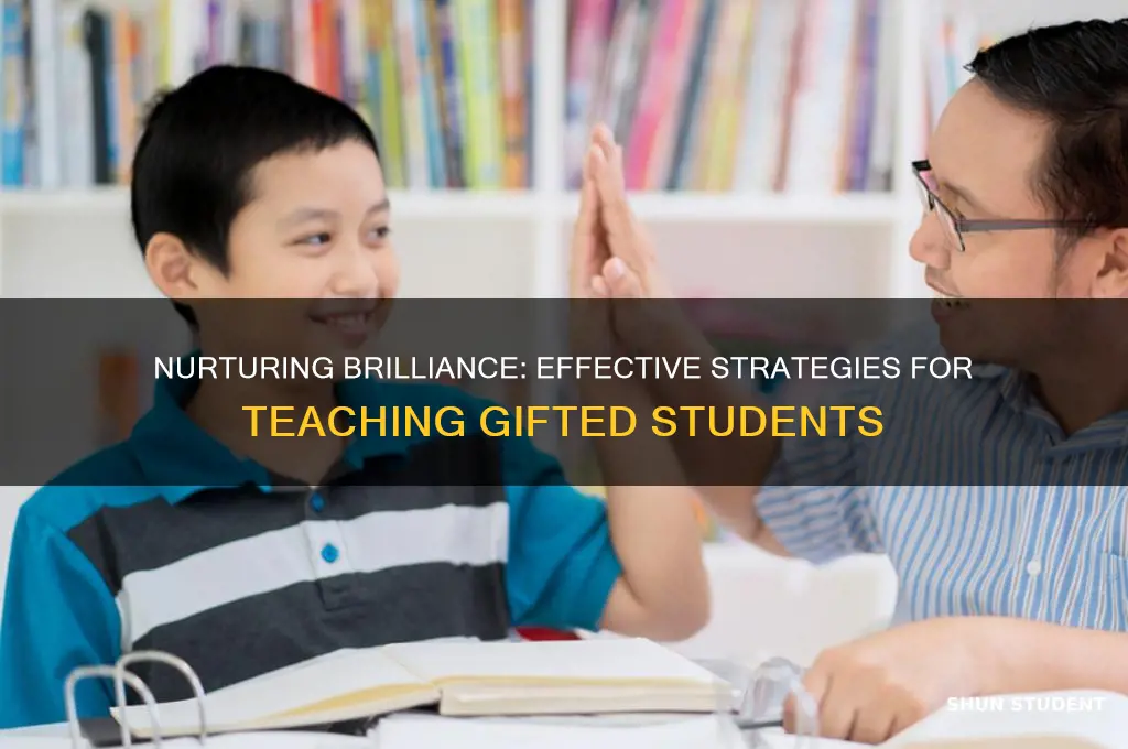 how to approach teaching to gifted students