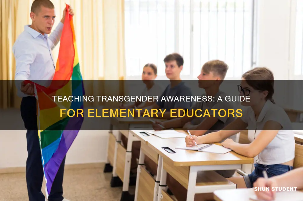 how to appropriately teach elementary students about transgender