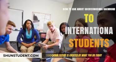 Exploring International Students' Socioeconomic Backgrounds: Effective Questioning