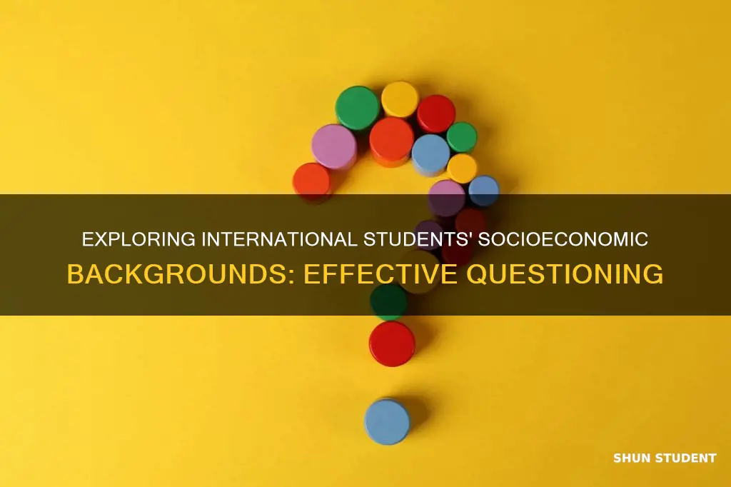 how to ask about socieconocims backrond to international students