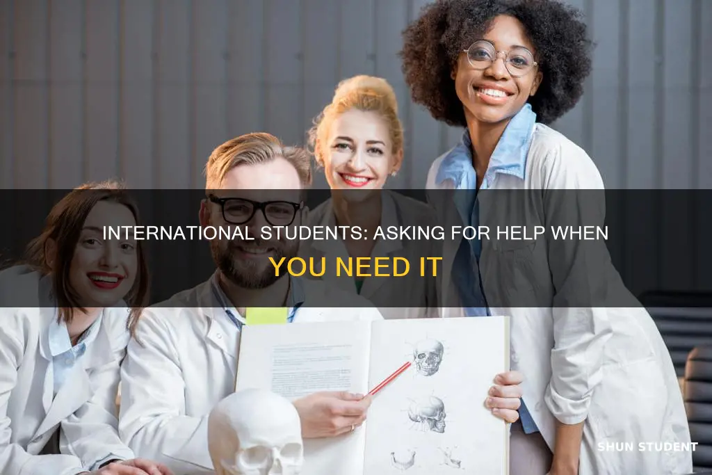 how to ask for help as an international student