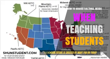 Assessing Cultural Needs: Strategies for Inclusive Student Teaching