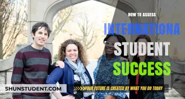 Assessing International Student Success: Strategies for Measurement