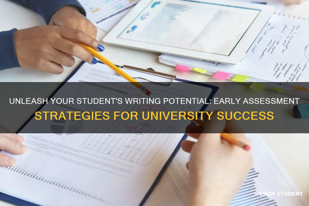 how to assess student writing early university