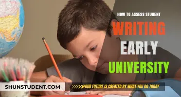 Assessing Student Writing: Strategies for Early University Success