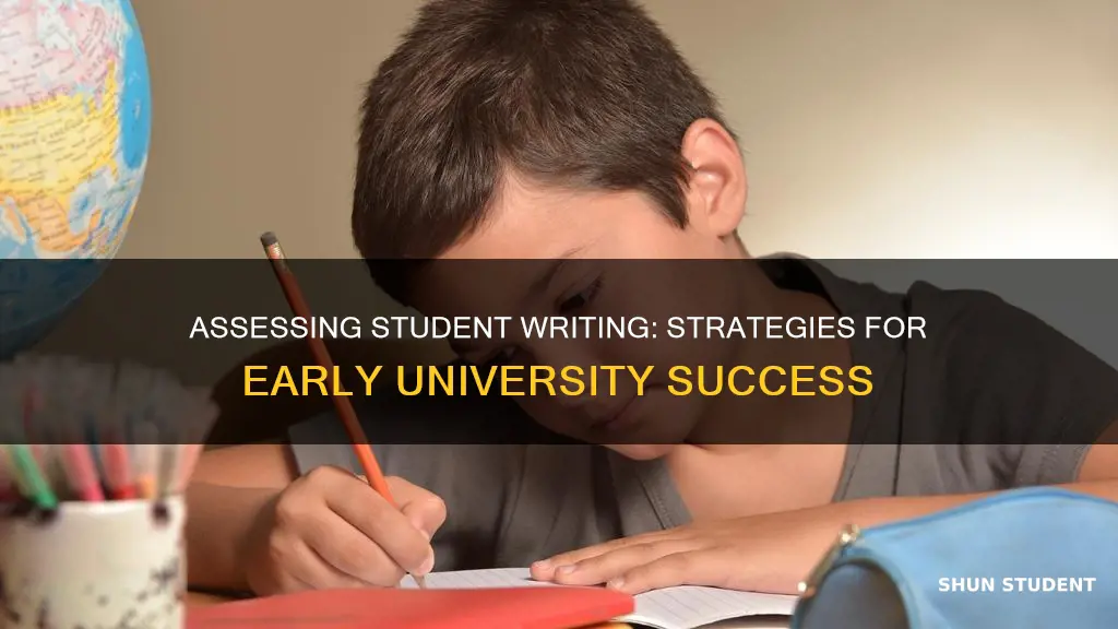 how to assess student writing early university