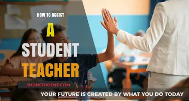 Supporting Student Teachers: Effective Strategies for Mentors and Educators