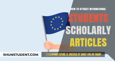 Attracting International Students: Strategies from Academic Literature