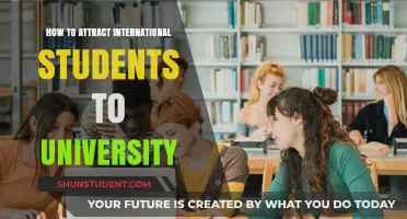 Attracting International Students: Strategies for University Success