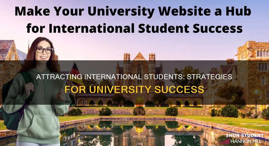 how to attract international students to university